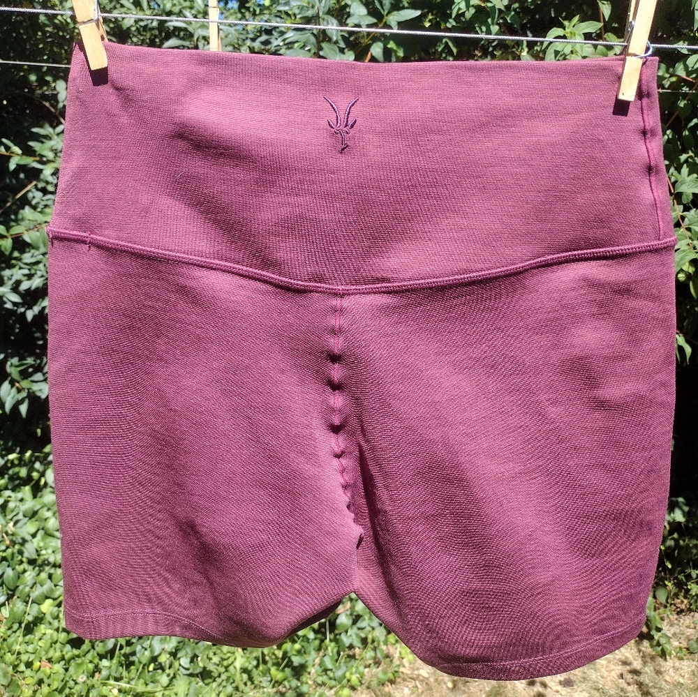 Ibex Women's Mauve Bike Shorts